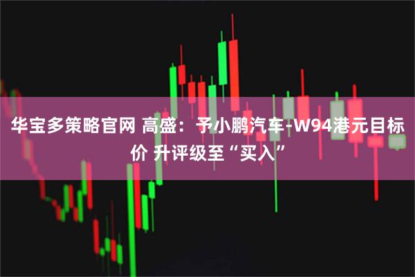 华宝多策略官网 高盛：予小鹏汽车-W94港元目标价 升评级至“买入”