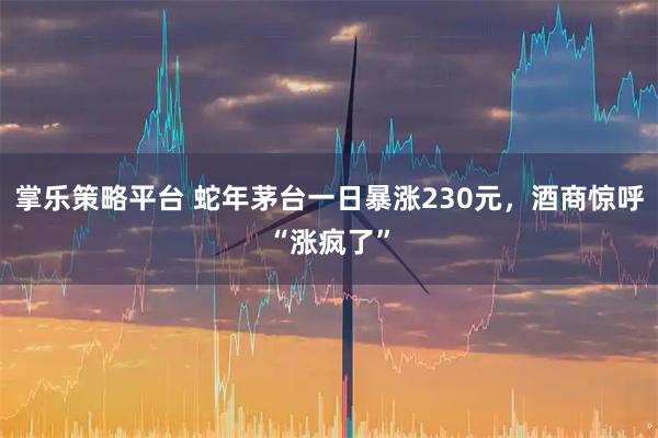 掌乐策略平台 蛇年茅台一日暴涨230元，酒商惊呼“涨疯了”
